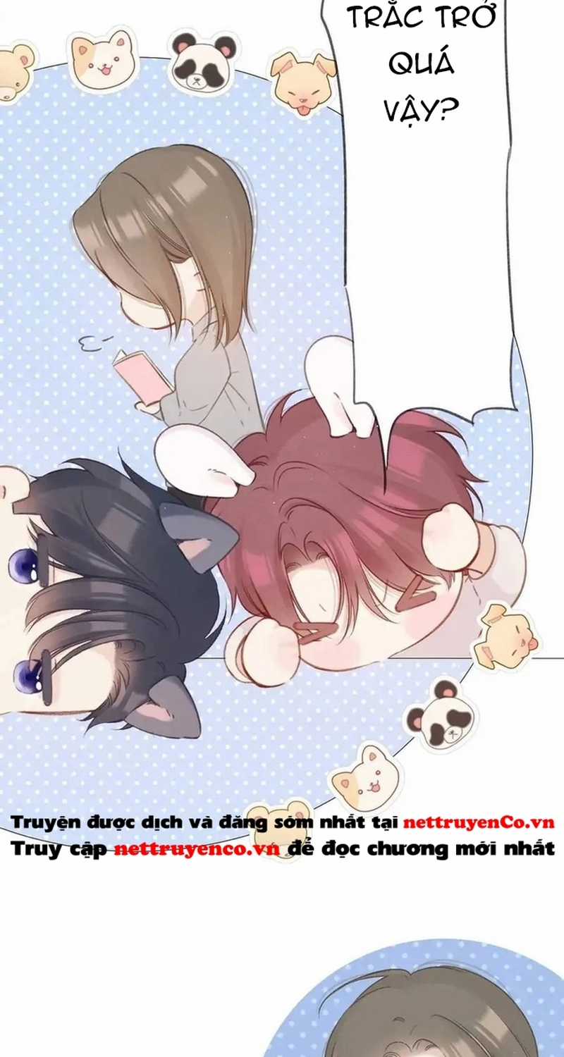 Bảo Vệ Siêu Sao Của Tôi Chapter 139 trang 36