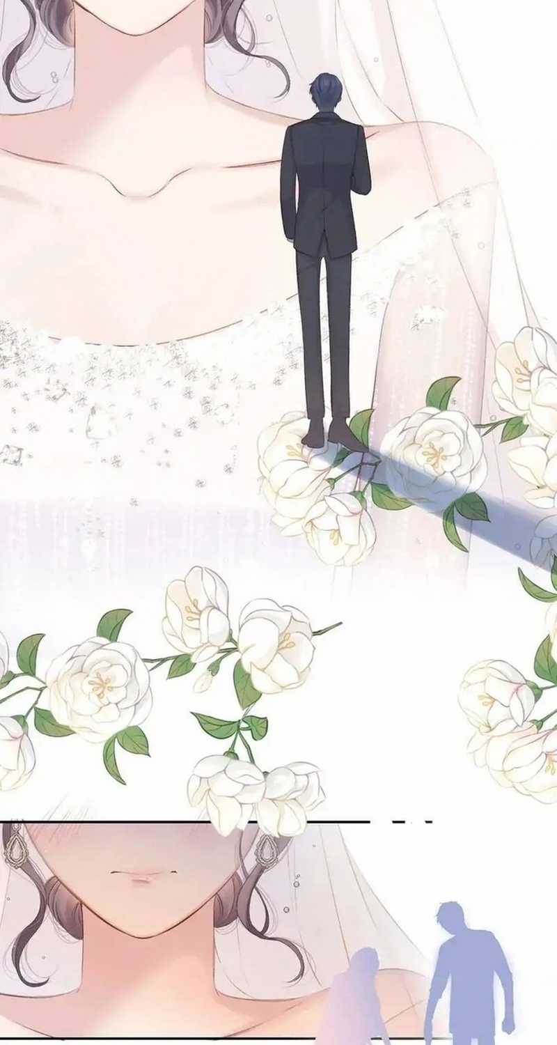 Bảo Vệ Siêu Sao Của Tôi Chapter 141 trang 15