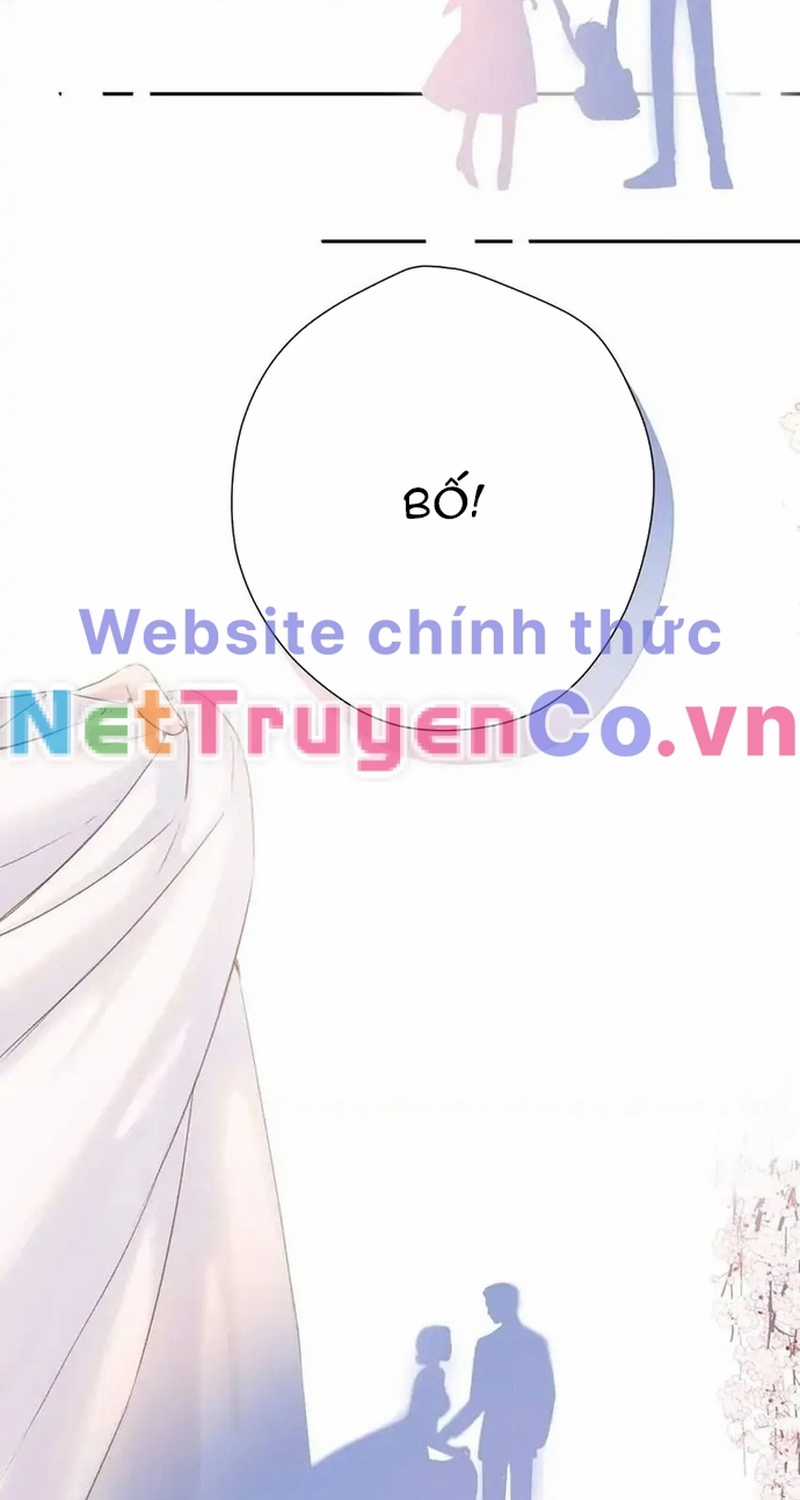 Bảo Vệ Siêu Sao Của Tôi Chapter 141 trang 16