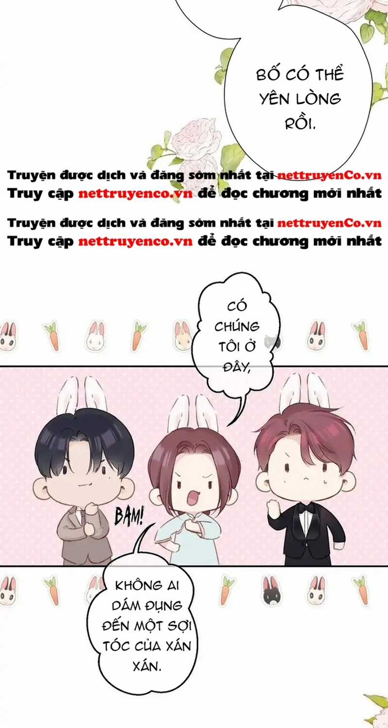 Bảo Vệ Siêu Sao Của Tôi Chapter 141 trang 19