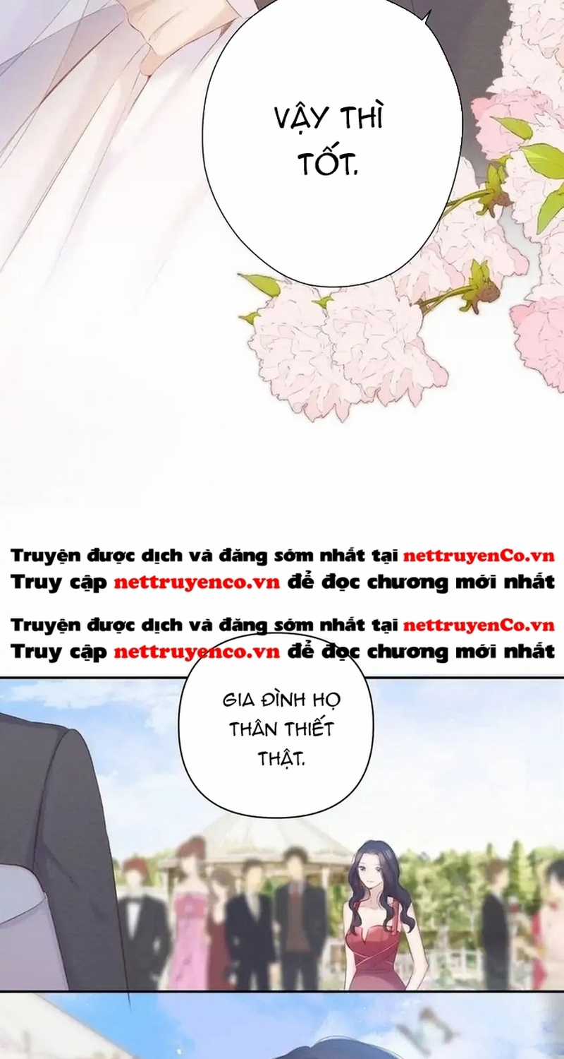 Bảo Vệ Siêu Sao Của Tôi Chapter 141 trang 21