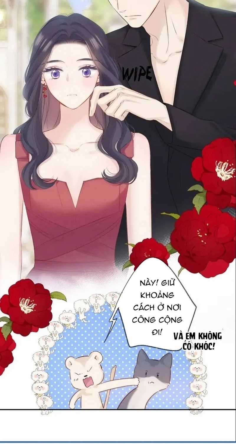 Bảo Vệ Siêu Sao Của Tôi Chapter 141 trang 23