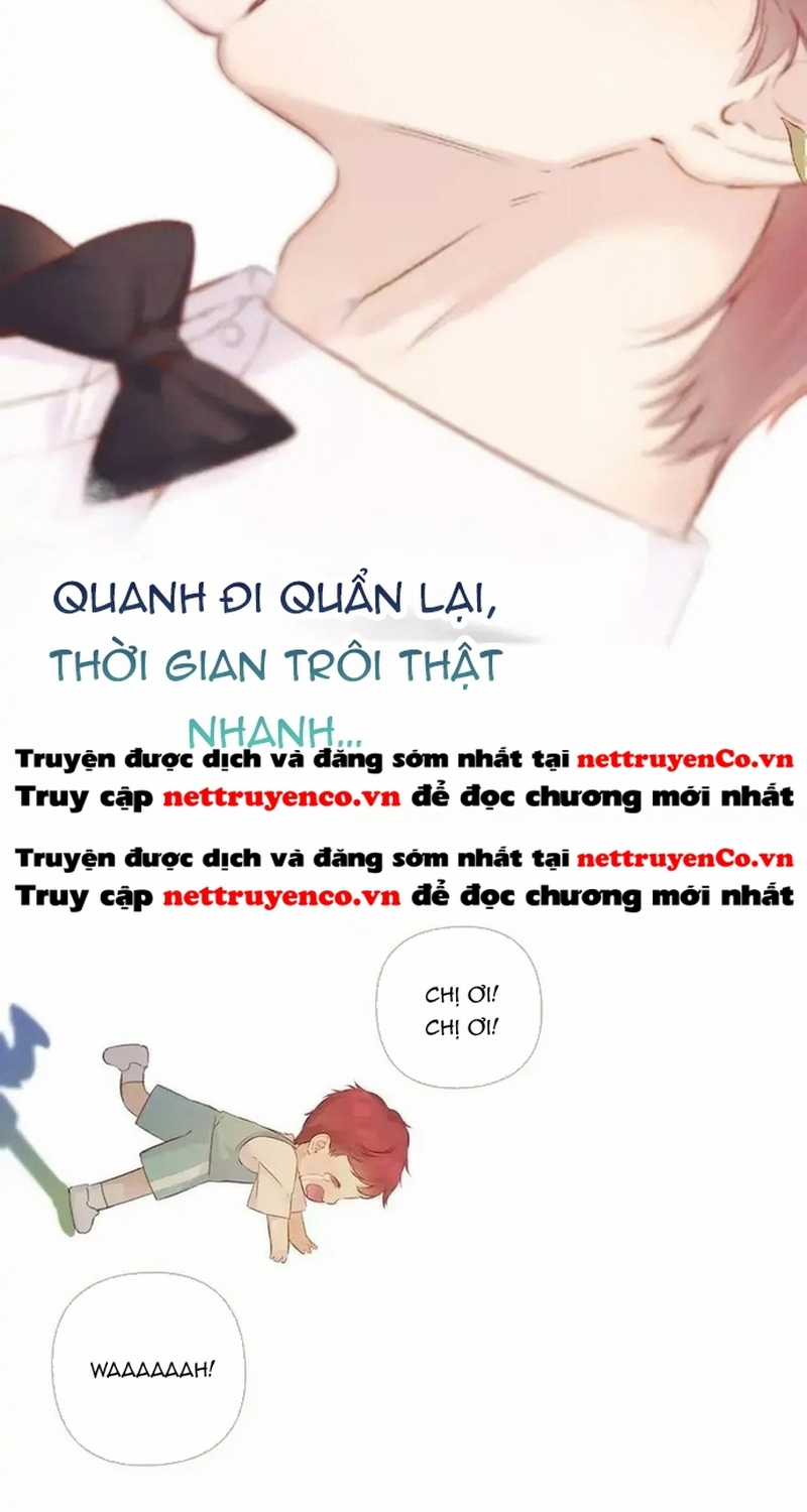 Bảo Vệ Siêu Sao Của Tôi Chapter 141 trang 39