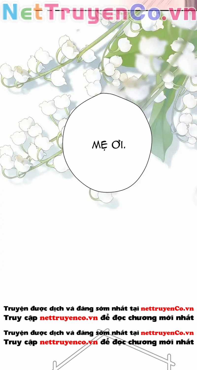 Bảo Vệ Siêu Sao Của Tôi Chapter 141 trang 8