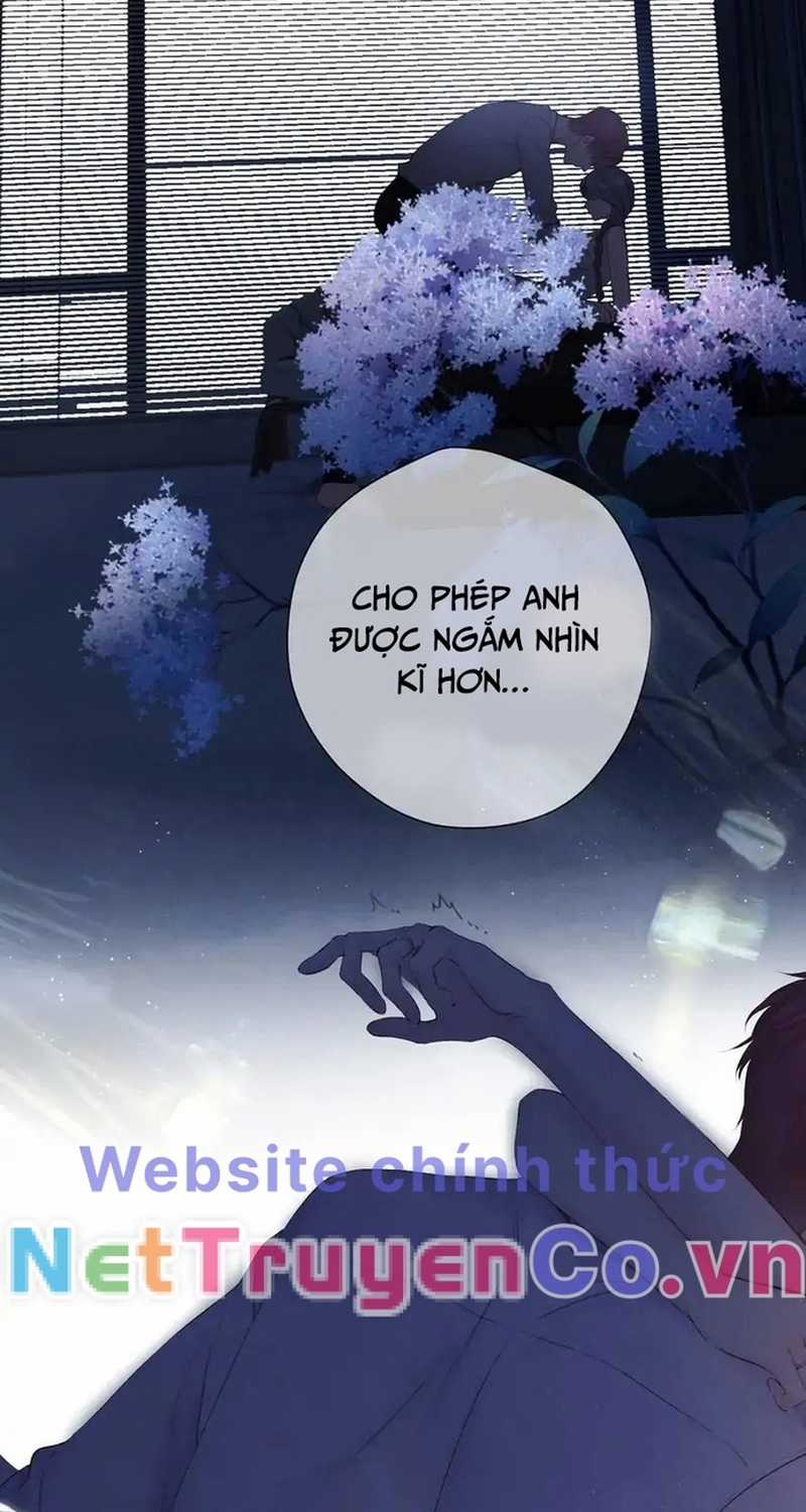 Bảo Vệ Siêu Sao Của Tôi Chapter 142 trang 24
