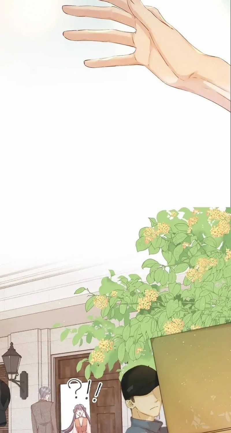 Bảo Vệ Siêu Sao Của Tôi Chapter 143 trang 13