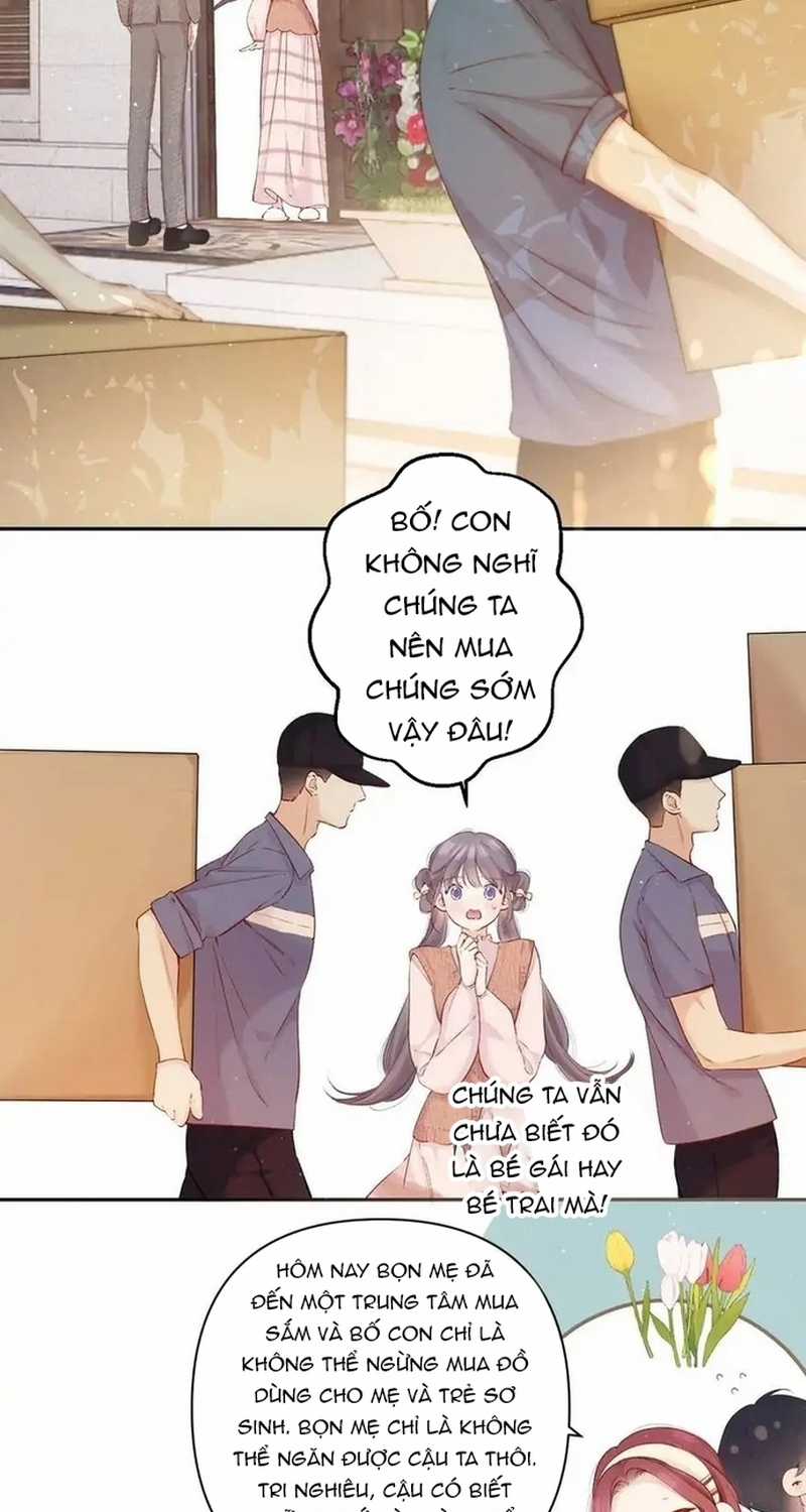 Bảo Vệ Siêu Sao Của Tôi Chapter 143 trang 14