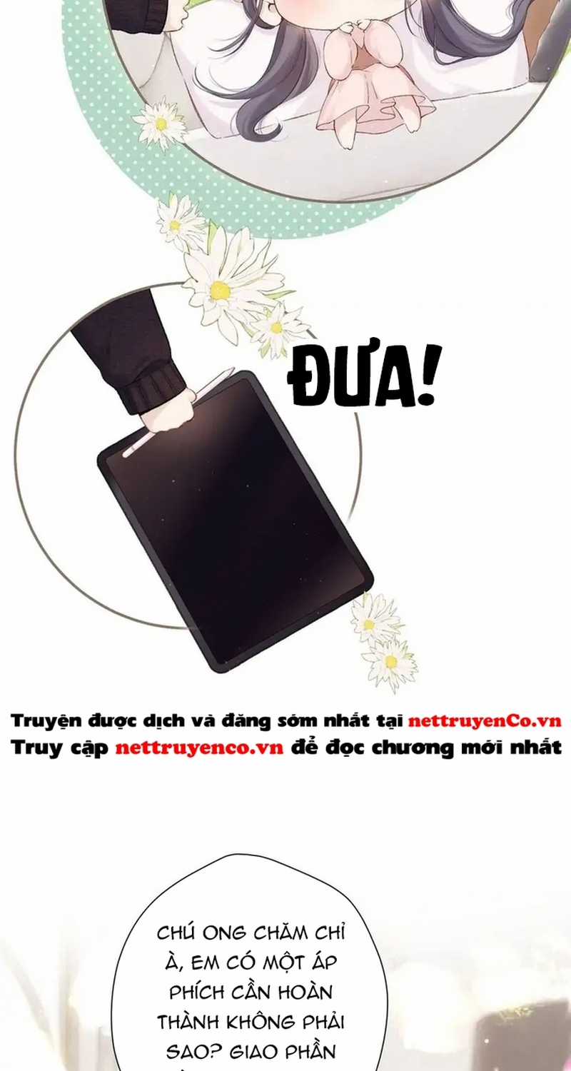 Bảo Vệ Siêu Sao Của Tôi Chapter 143 trang 18