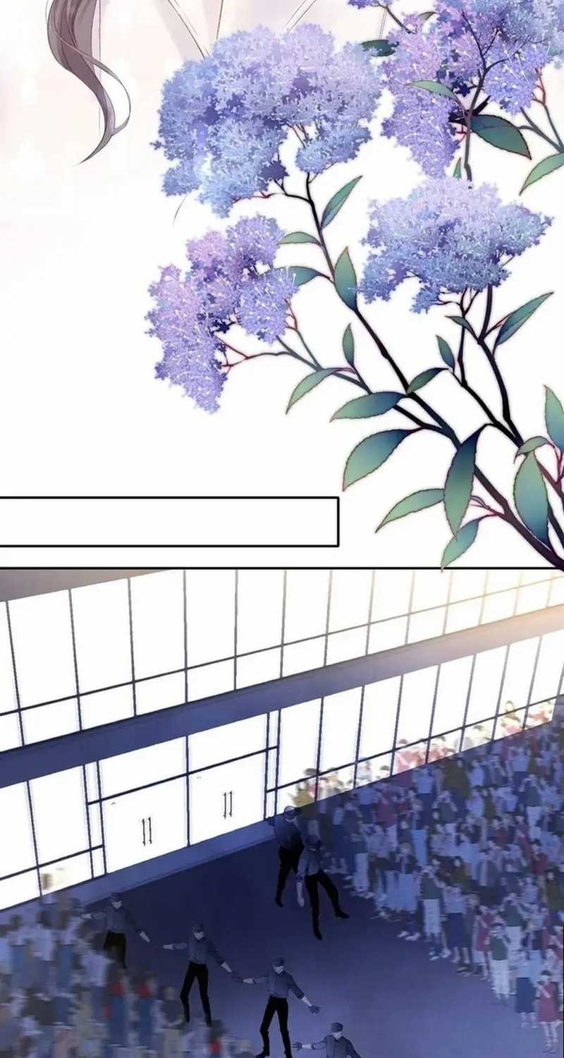 Bảo Vệ Siêu Sao Của Tôi Chapter 143 trang 31