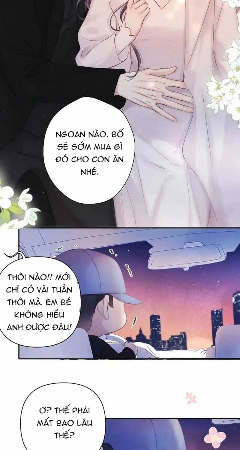 Bảo Vệ Siêu Sao Của Tôi Chapter 143 trang 37