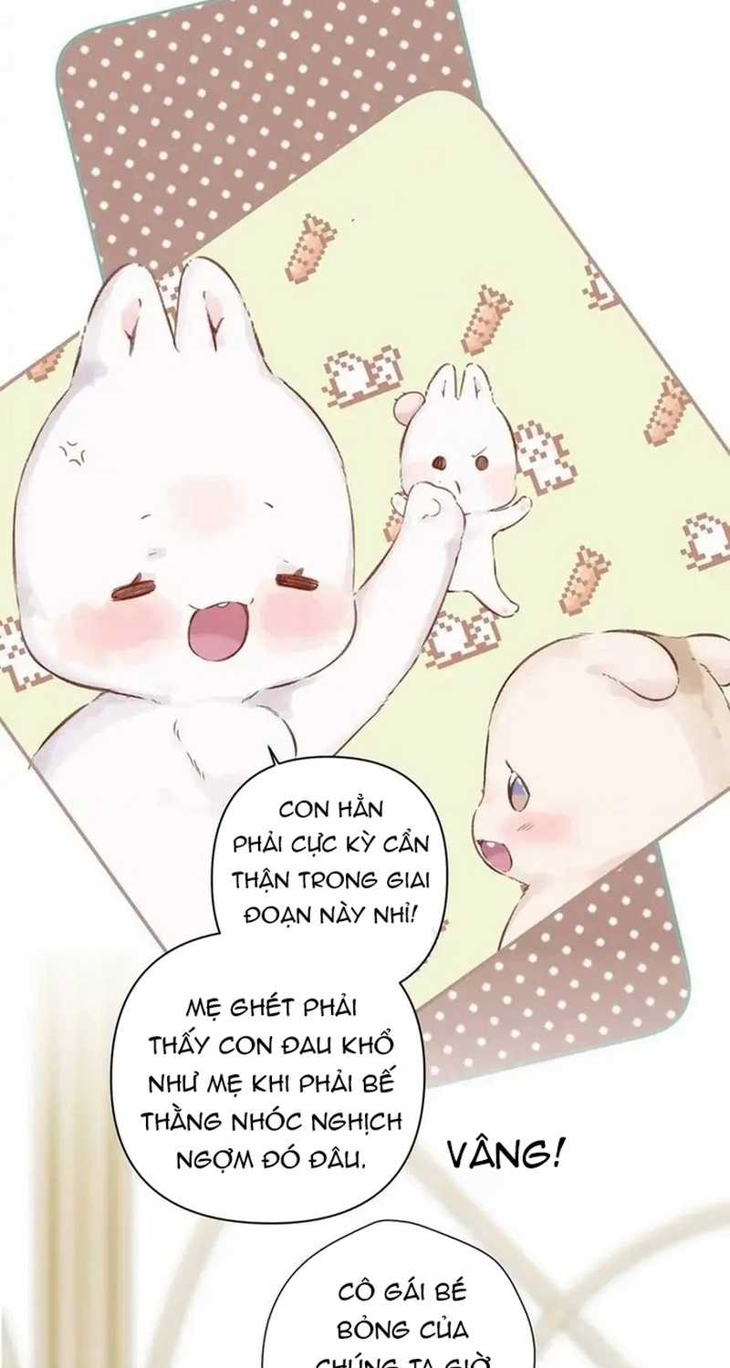 Bảo Vệ Siêu Sao Của Tôi Chapter 143 trang 5