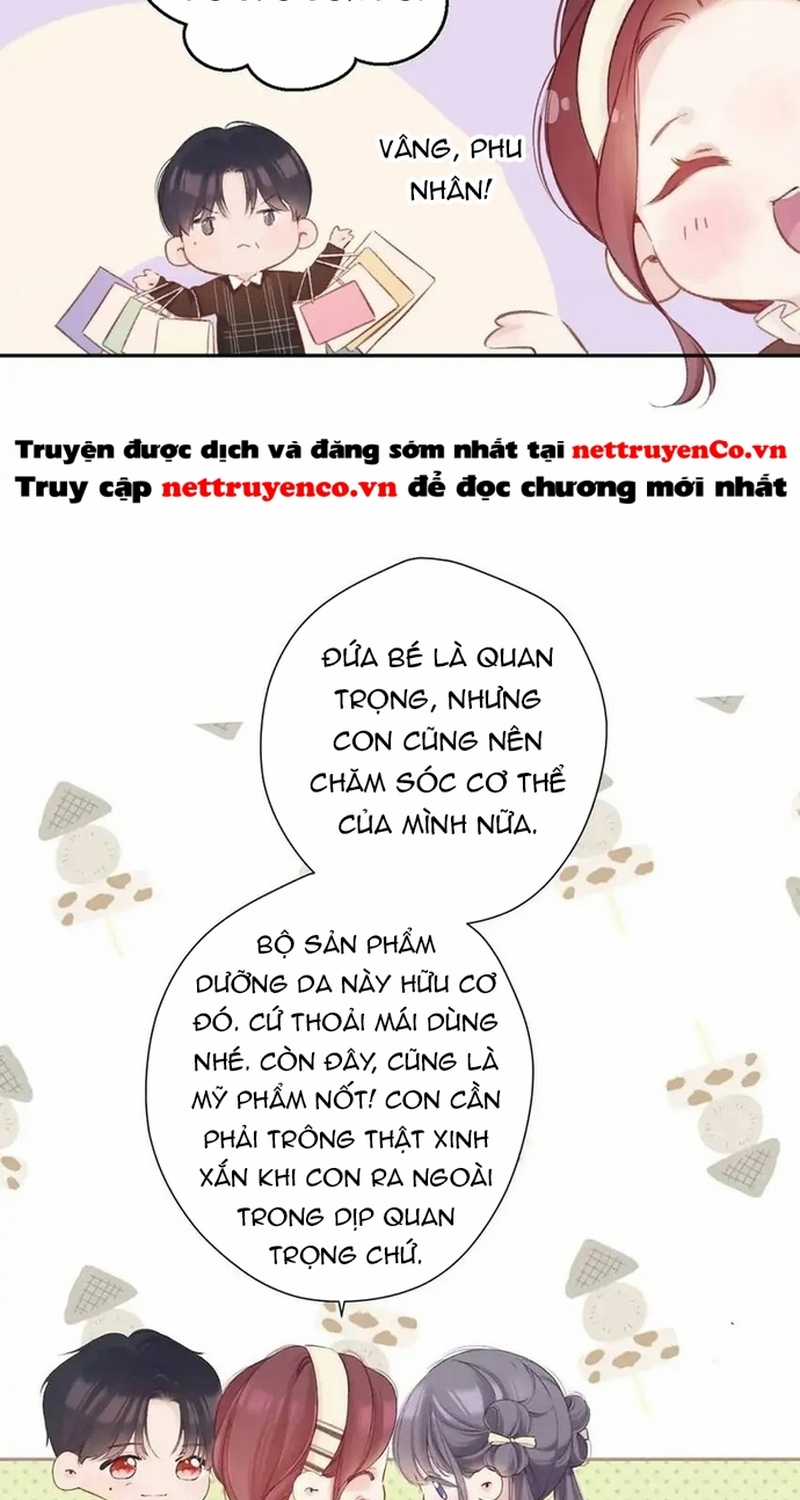 Bảo Vệ Siêu Sao Của Tôi Chapter 143 trang 7