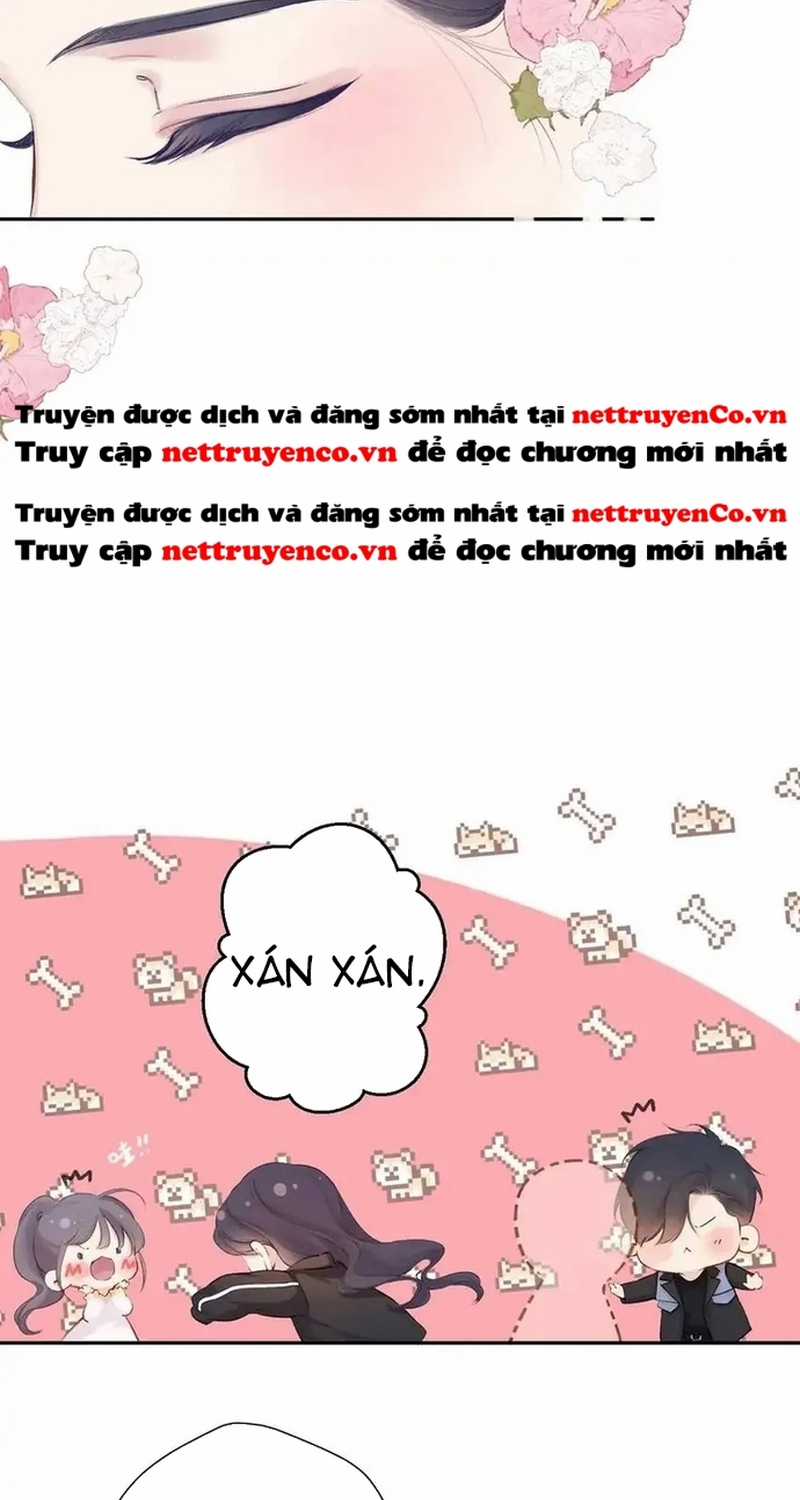 Bảo Vệ Siêu Sao Của Tôi Chapter 144 trang 11