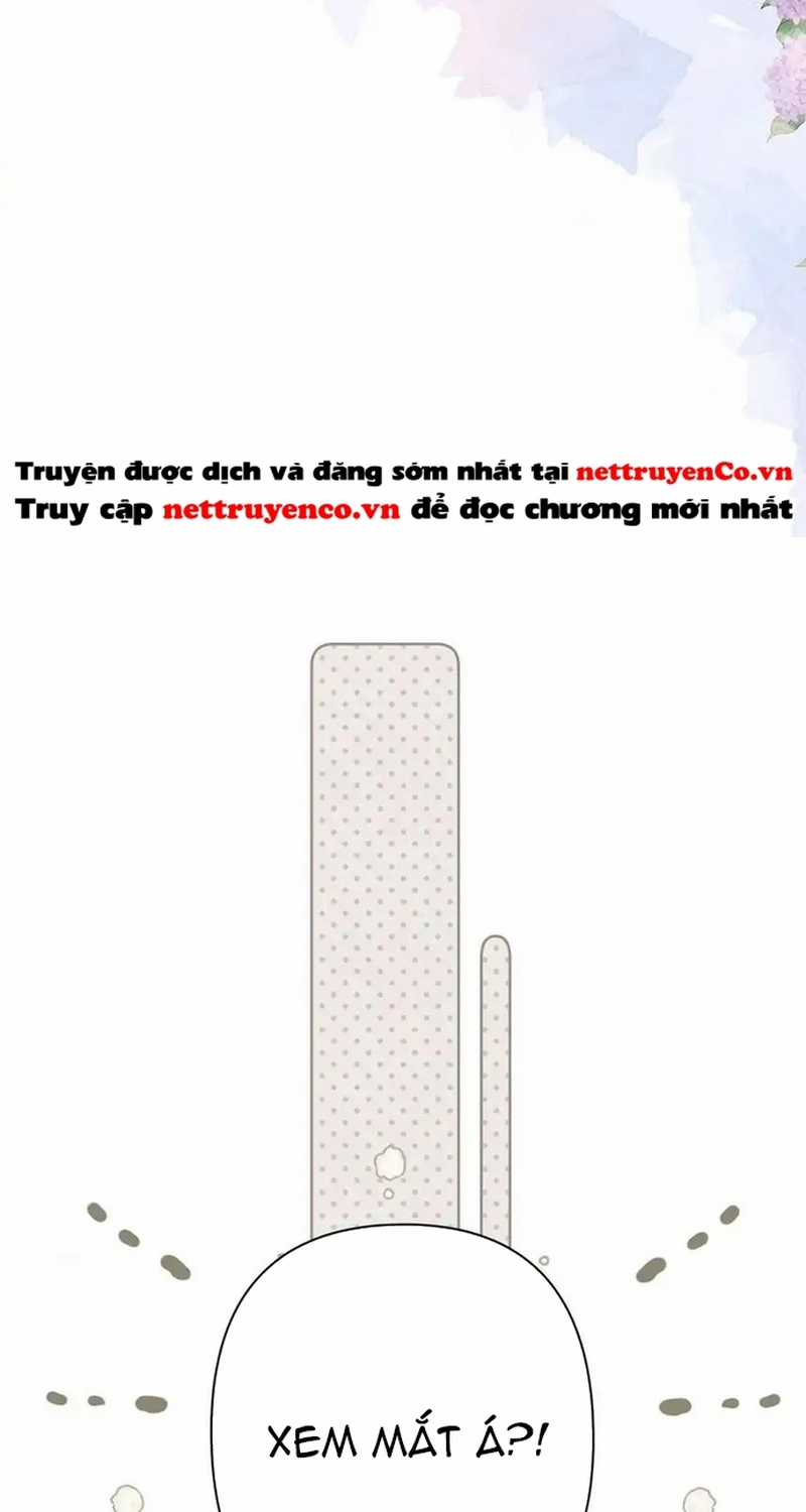 Bảo Vệ Siêu Sao Của Tôi Chapter 144 trang 16