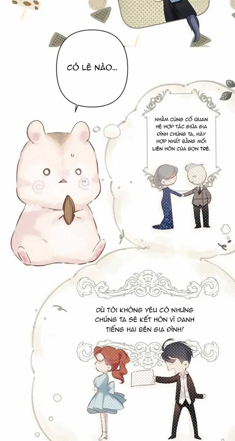 Bảo Vệ Siêu Sao Của Tôi Chapter 144 trang 18