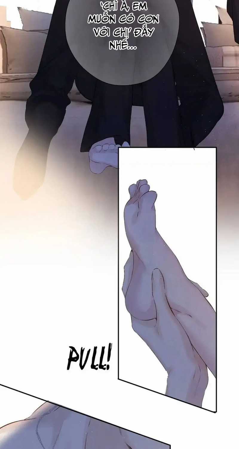 Bảo Vệ Siêu Sao Của Tôi Chapter 145 trang 11