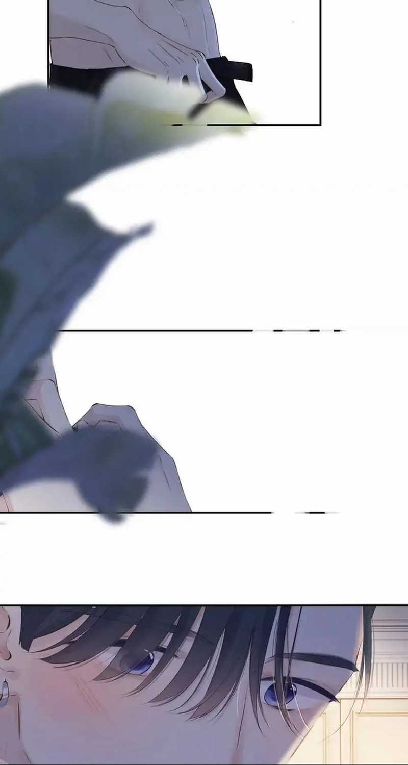 Bảo Vệ Siêu Sao Của Tôi Chapter 145 trang 15