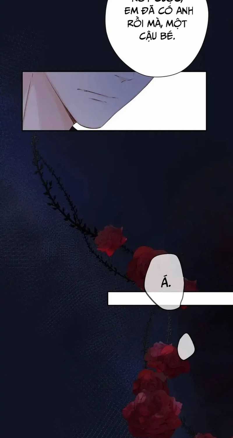 Bảo Vệ Siêu Sao Của Tôi Chapter 145 trang 17