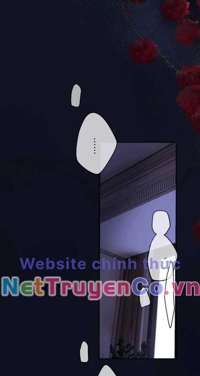 Bảo Vệ Siêu Sao Của Tôi Chapter 145 trang 18