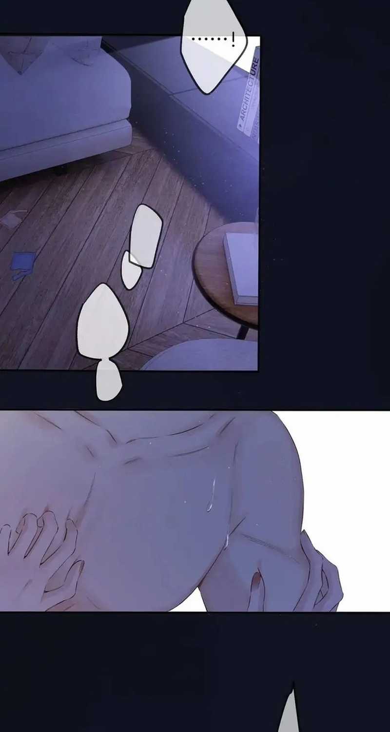 Bảo Vệ Siêu Sao Của Tôi Chapter 145 trang 19