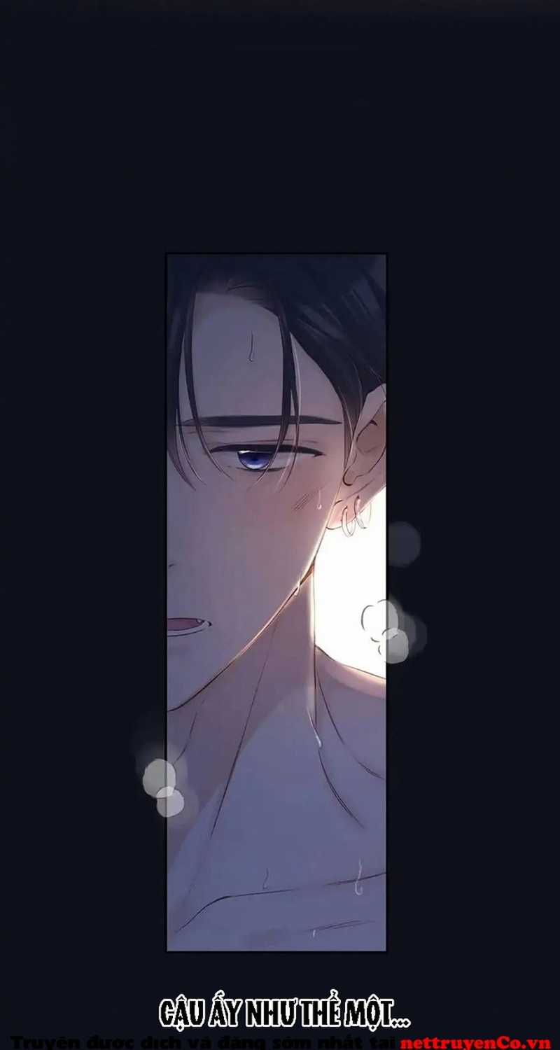 Bảo Vệ Siêu Sao Của Tôi Chapter 145 trang 22