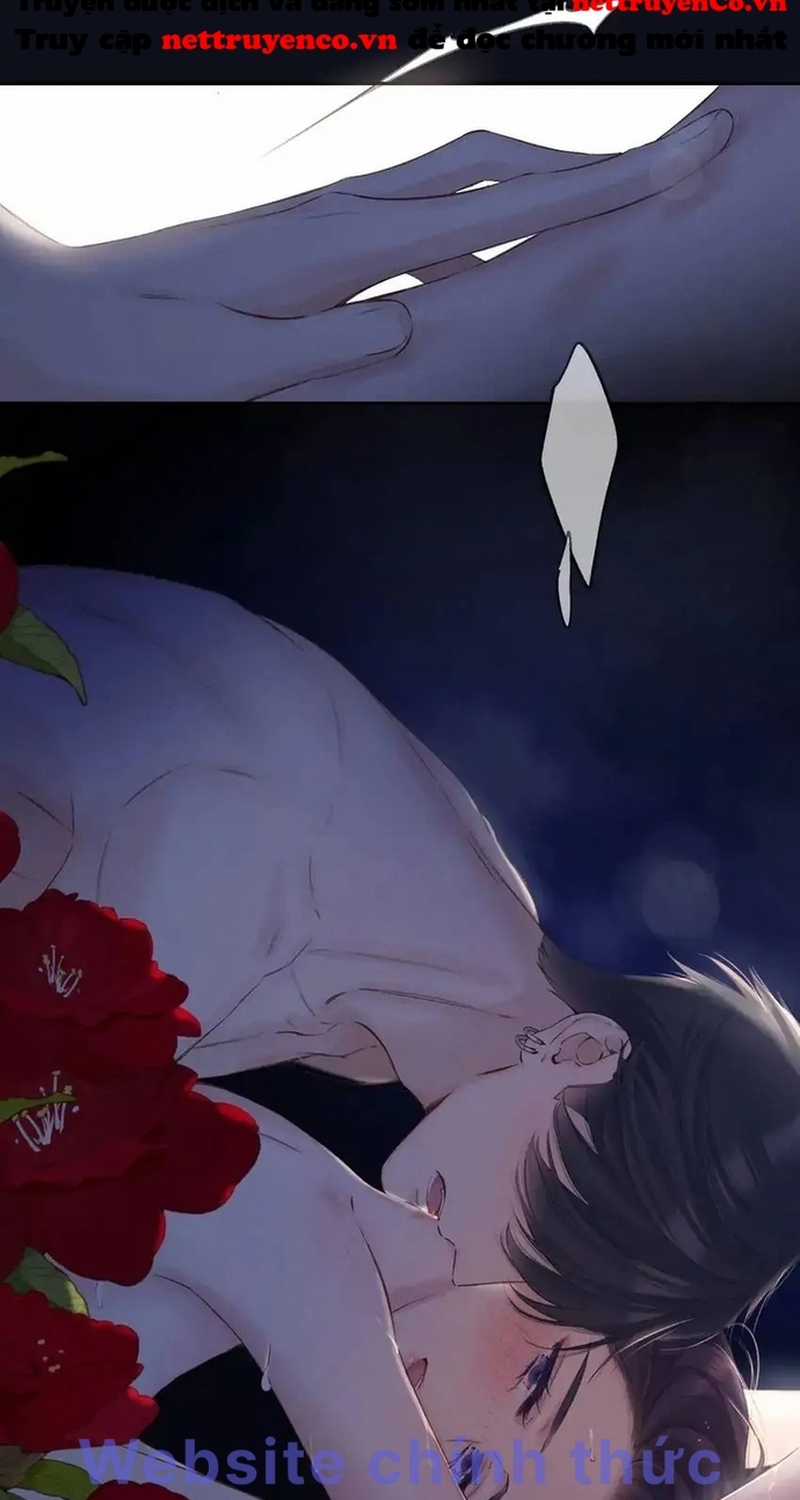 Bảo Vệ Siêu Sao Của Tôi Chapter 145 trang 24