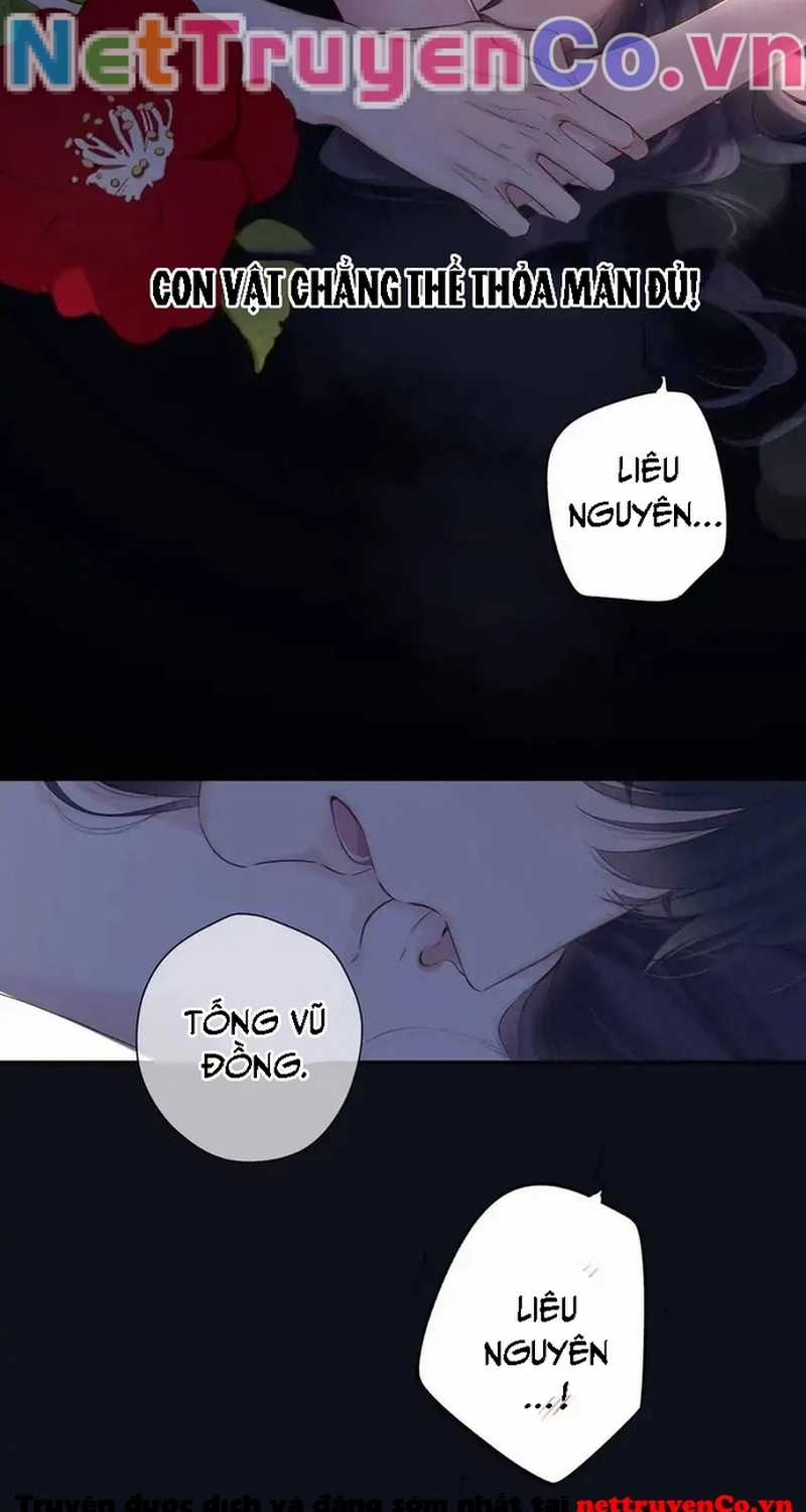 Bảo Vệ Siêu Sao Của Tôi Chapter 145 trang 25