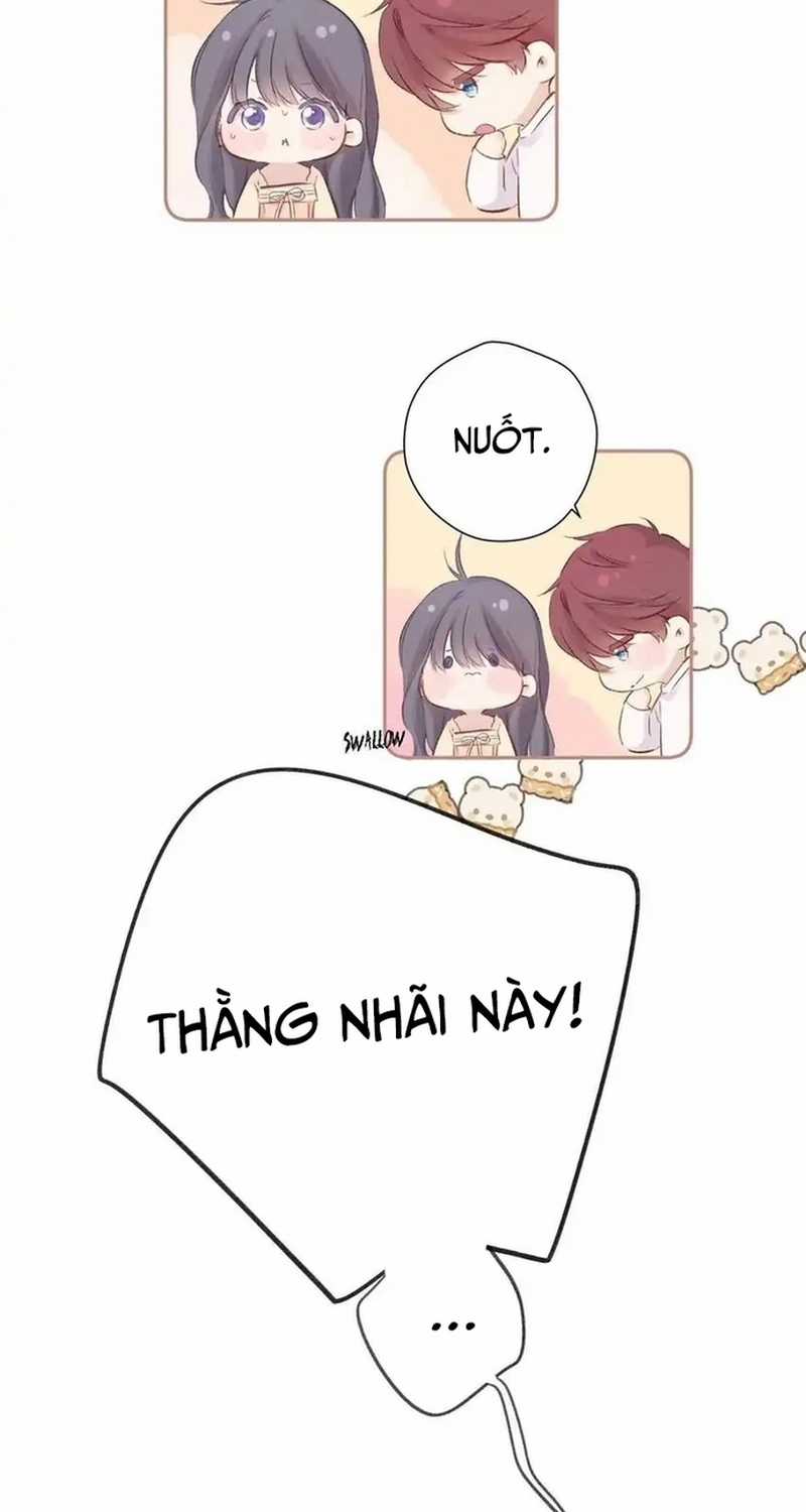 Bảo Vệ Siêu Sao Của Tôi Chapter 146 trang 15