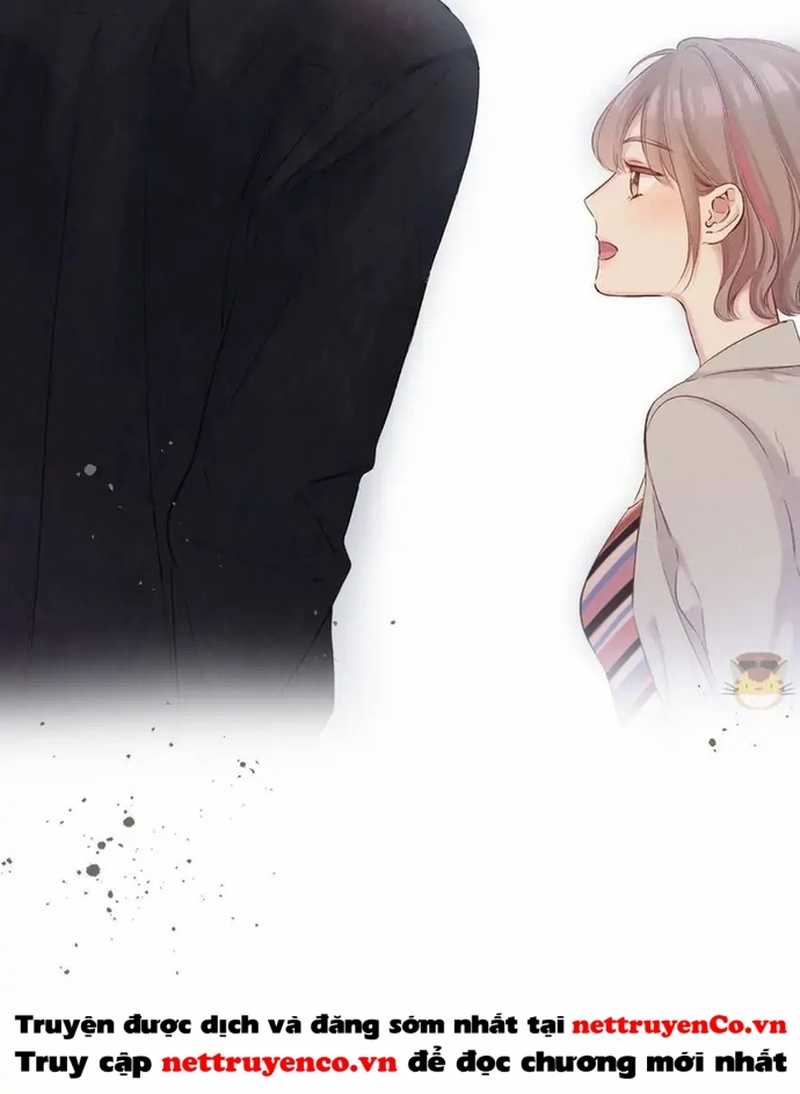 Bảo Vệ Siêu Sao Của Tôi Chapter 146 trang 40