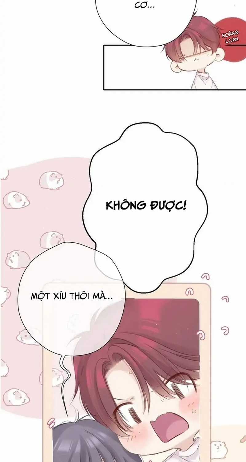 Bảo Vệ Siêu Sao Của Tôi Chapter 146 trang 6