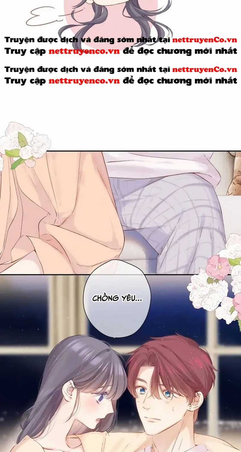 Bảo Vệ Siêu Sao Của Tôi Chapter 146 trang 8