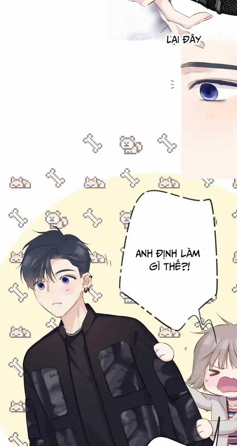 Bảo Vệ Siêu Sao Của Tôi Chapter 147 trang 15