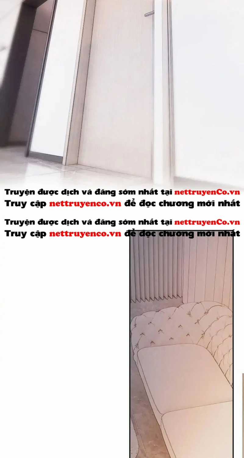 Bảo Vệ Siêu Sao Của Tôi Chapter 147 trang 33