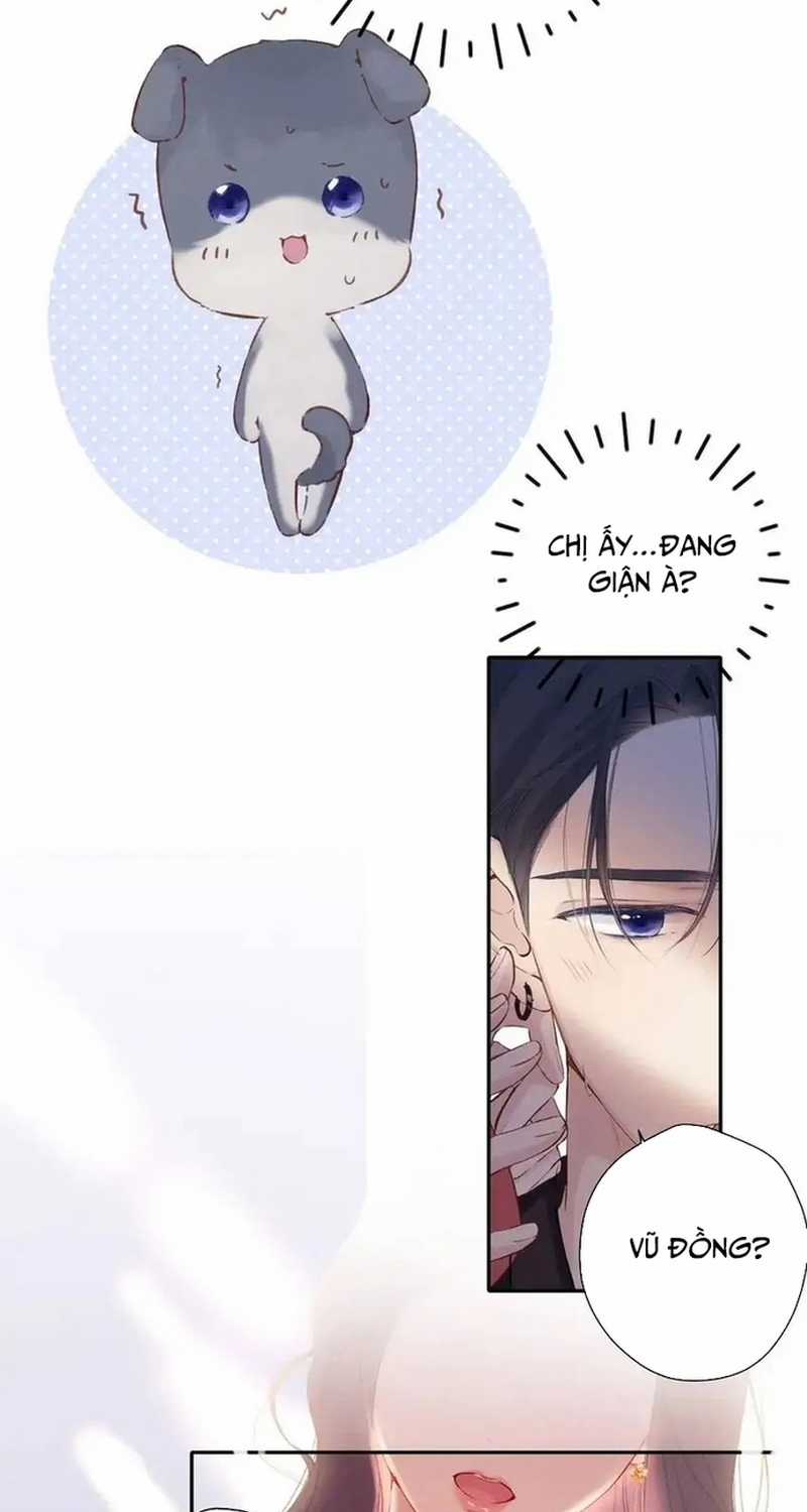 Bảo Vệ Siêu Sao Của Tôi Chapter 147 trang 37