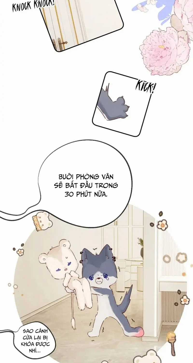 Bảo Vệ Siêu Sao Của Tôi Chapter 148 trang 26