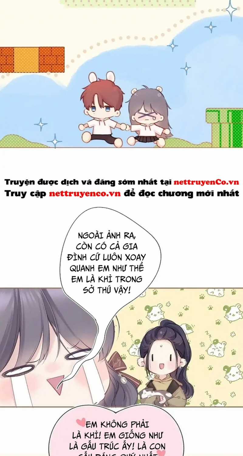 Bảo Vệ Siêu Sao Của Tôi Chapter 149 trang 15