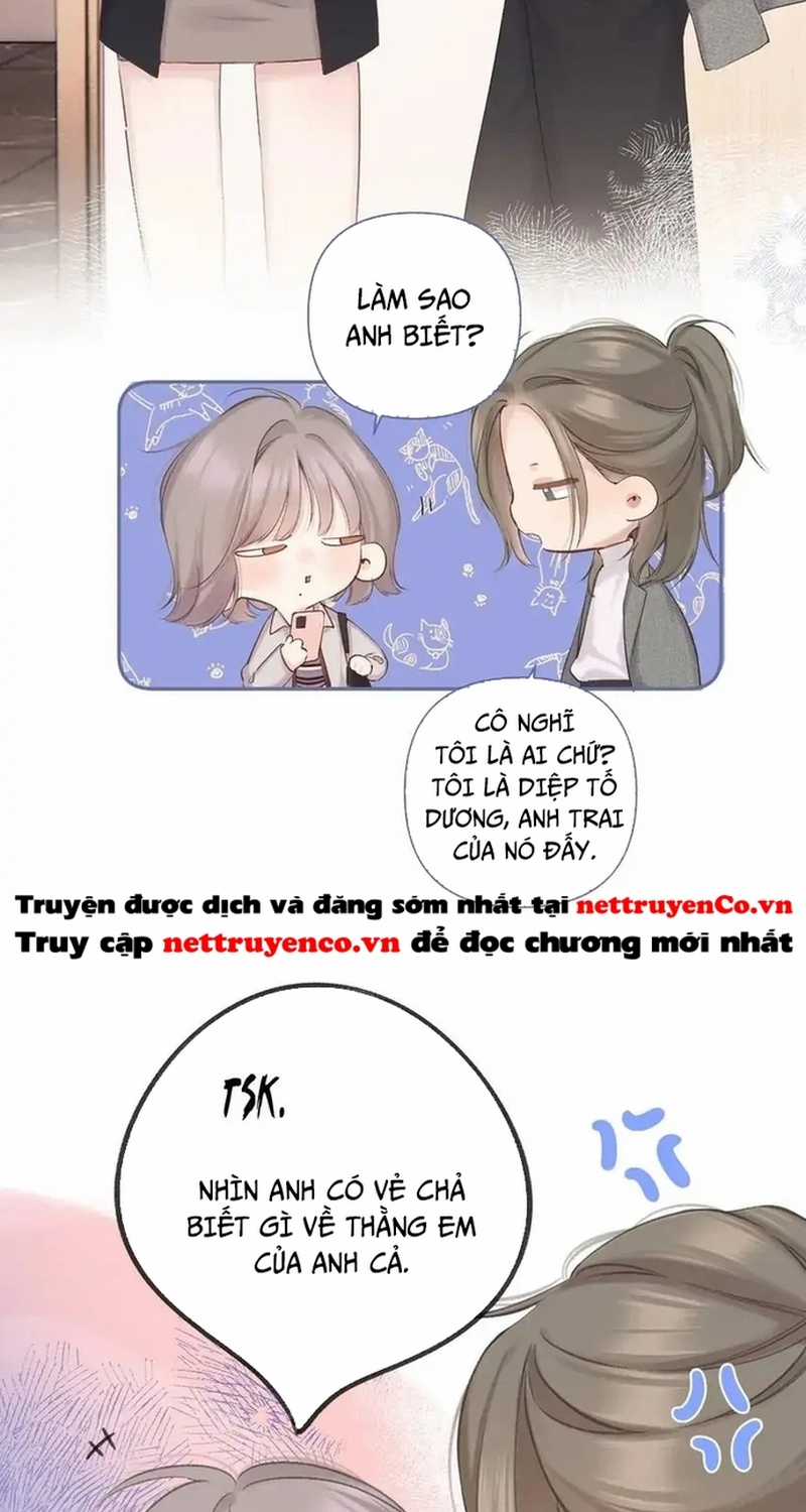 Bảo Vệ Siêu Sao Của Tôi Chapter 149 trang 35