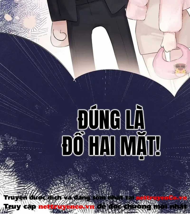 Bảo Vệ Siêu Sao Của Tôi Chapter 149 trang 42