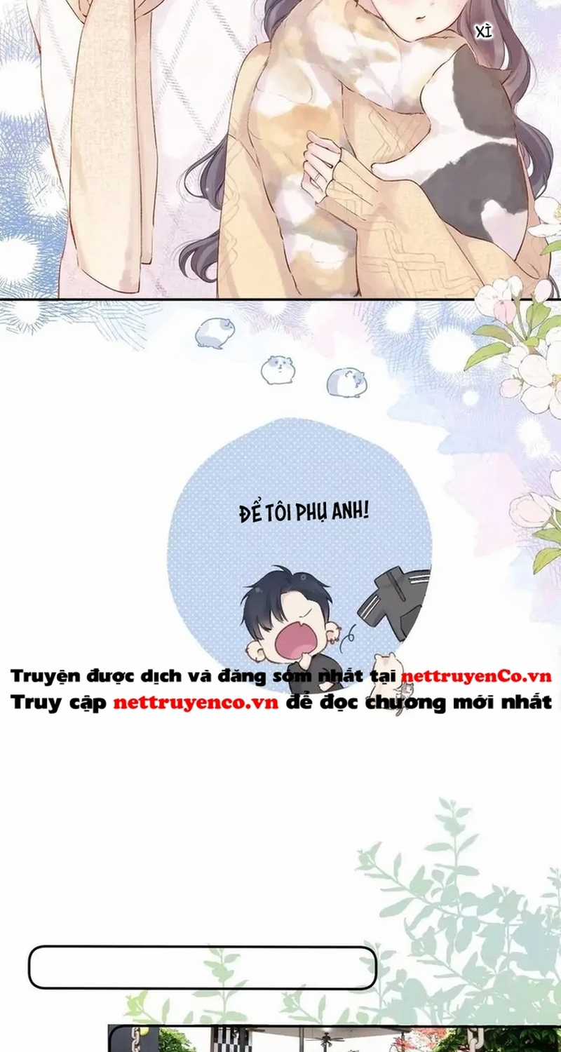 Bảo Vệ Siêu Sao Của Tôi Chapter 149 trang 6