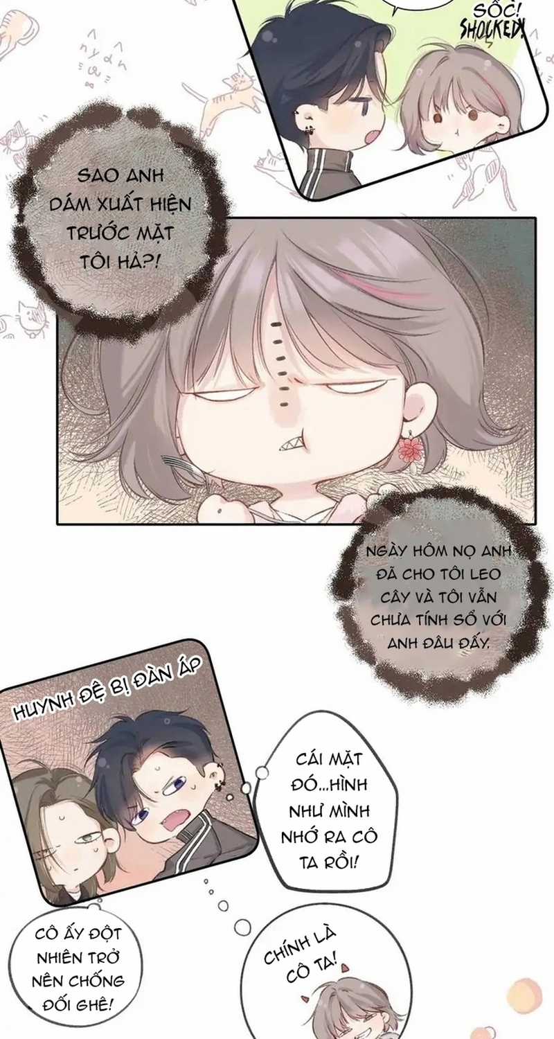 Bảo Vệ Siêu Sao Của Tôi Chapter 150 trang 4