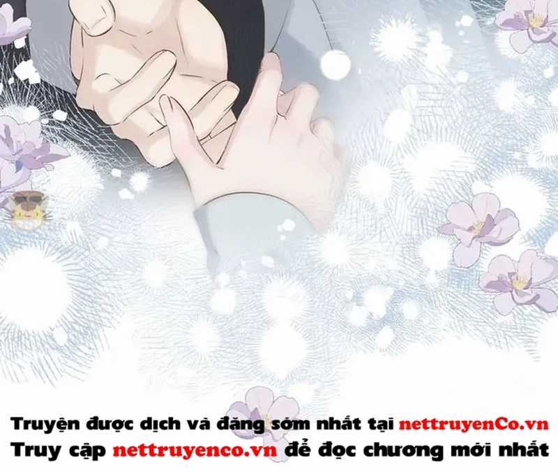 Bảo Vệ Siêu Sao Của Tôi Chapter 151 trang 39