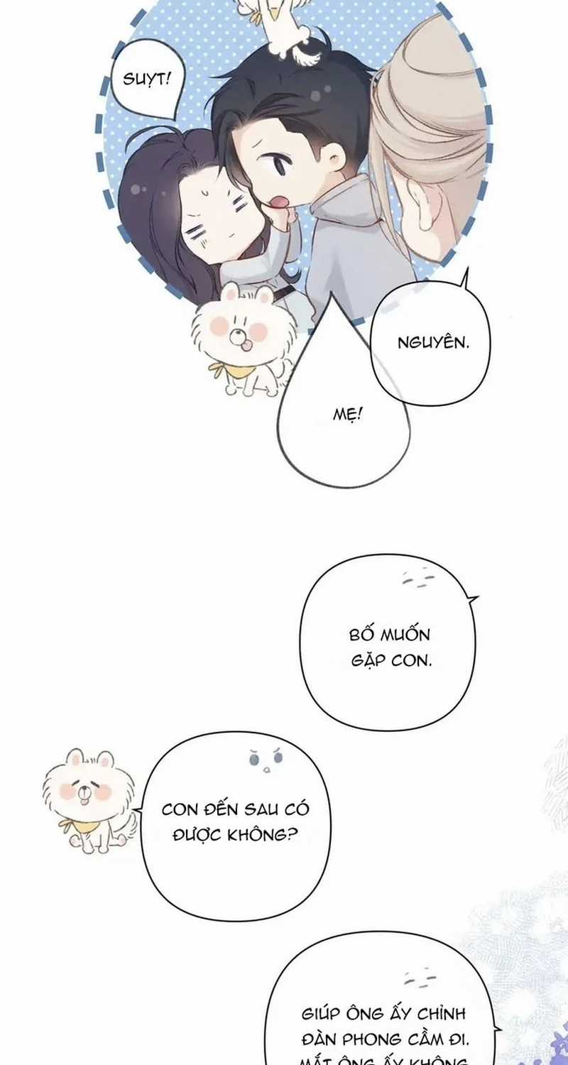 Bảo Vệ Siêu Sao Của Tôi Chapter 152 trang 44