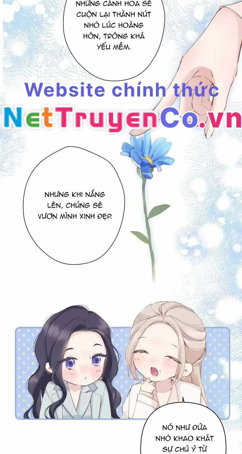 Bảo Vệ Siêu Sao Của Tôi Chapter 153 trang 19