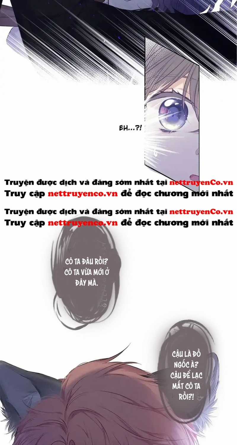 Bảo Vệ Siêu Sao Của Tôi Chapter 156 trang 10
