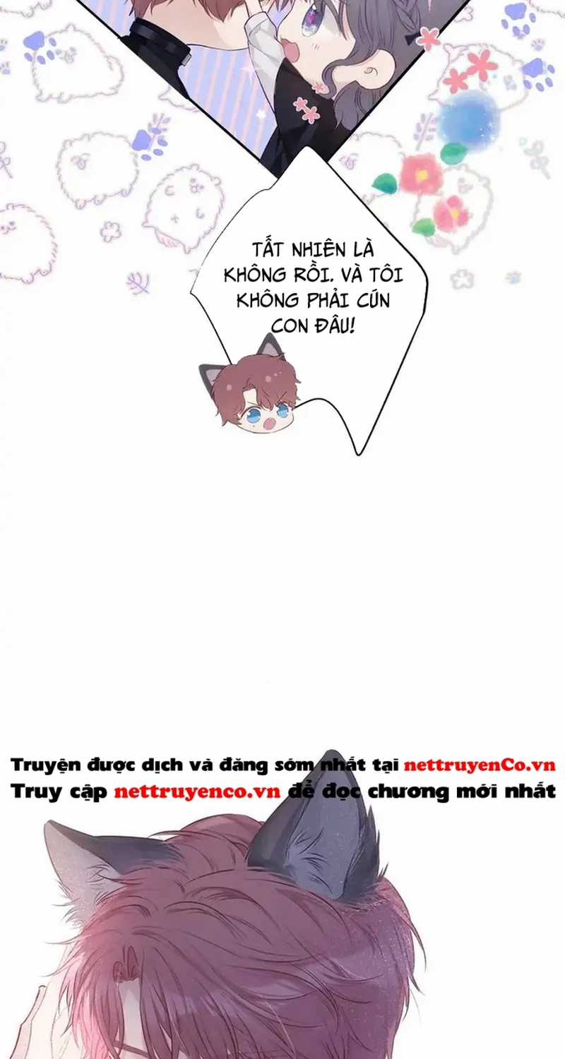 Bảo Vệ Siêu Sao Của Tôi Chapter 156 trang 14