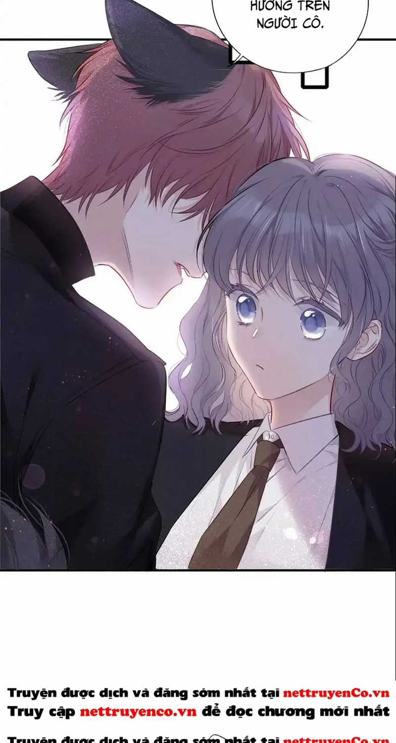 Bảo Vệ Siêu Sao Của Tôi Chapter 156 trang 16