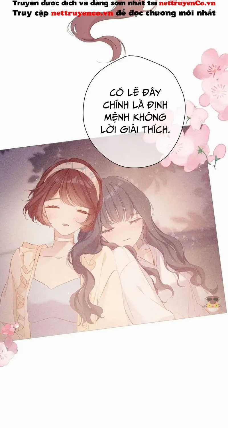 Bảo Vệ Siêu Sao Của Tôi Chapter 158 trang 40