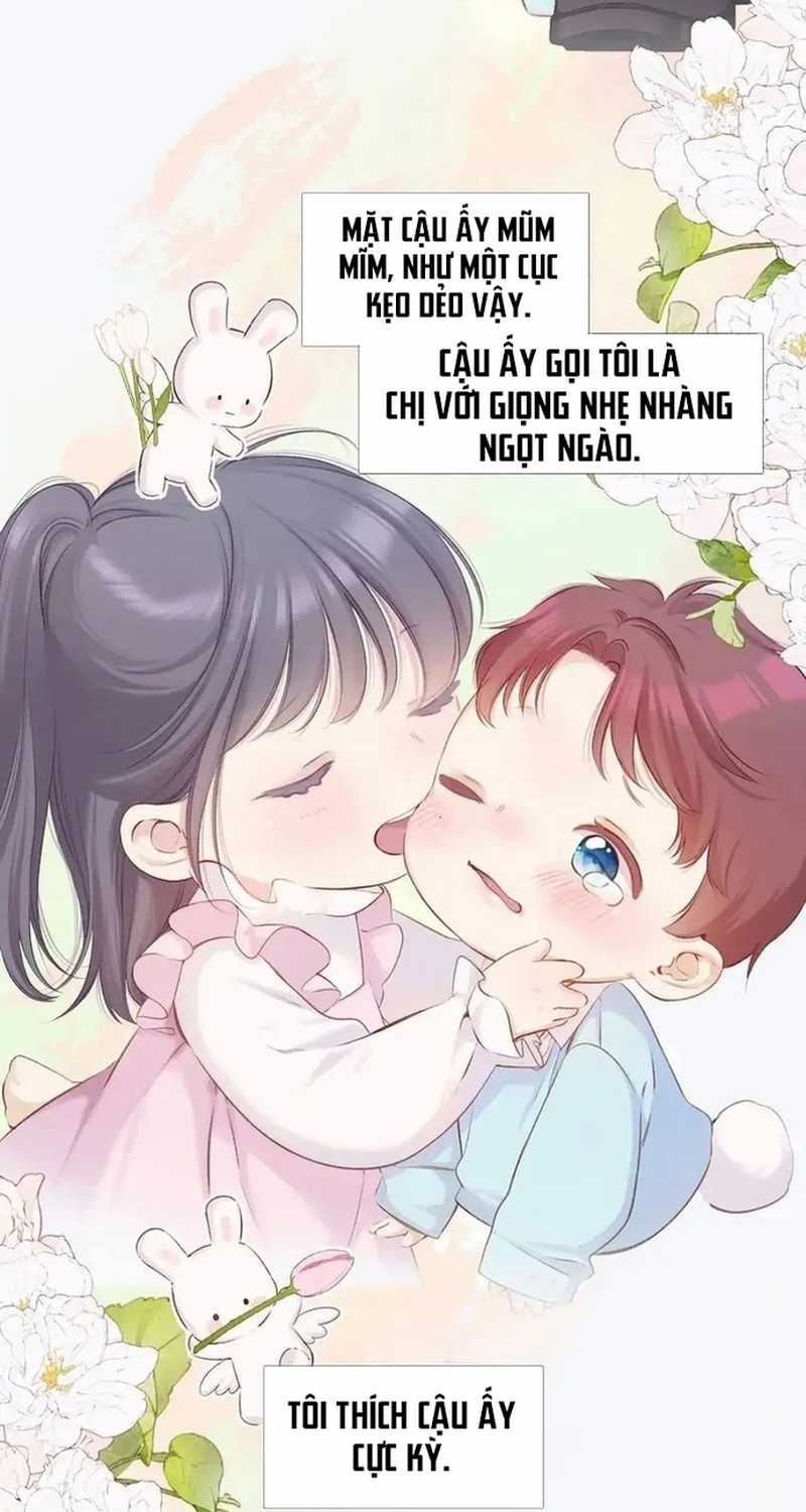 Bảo Vệ Siêu Sao Của Tôi Chapter 159 trang 15