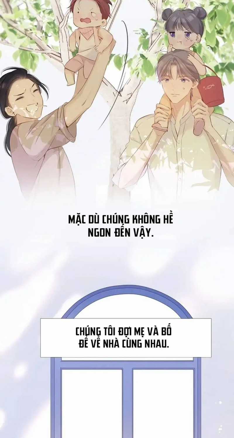 Bảo Vệ Siêu Sao Của Tôi Chapter 159 trang 19