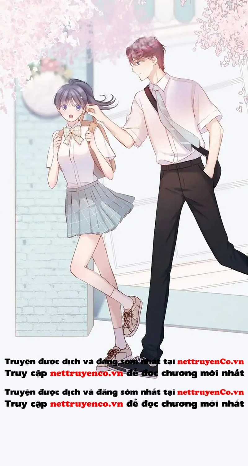 Bảo Vệ Siêu Sao Của Tôi Chapter 159 trang 22